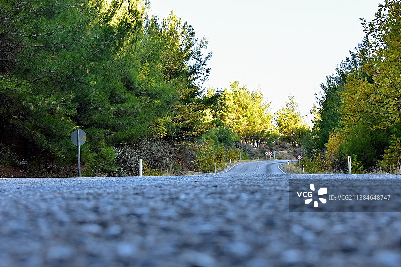 空旷的道路，树影映衬着天空图片素材