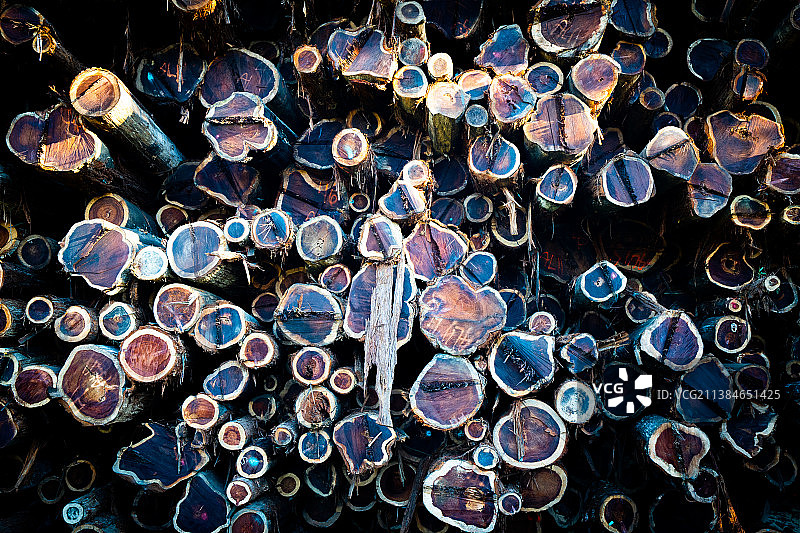 俯视角度拍摄的伐木原木图片素材