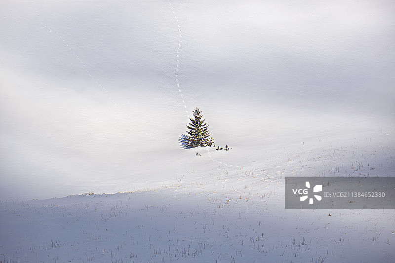 复活节兔子踪迹，奥地利拉克斯雪景图片素材