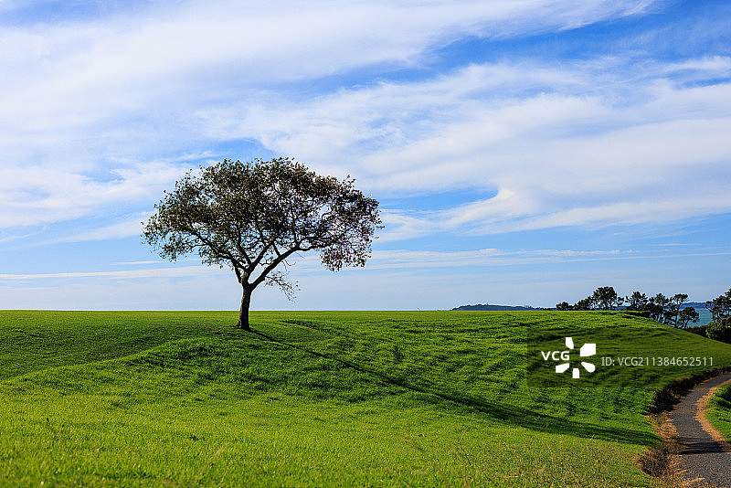 天空衬托下的农田风景图片素材