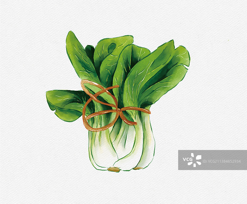 小青菜图片素材