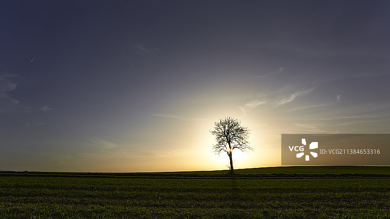 日落时分天空下田野中树木的轮廓图片素材