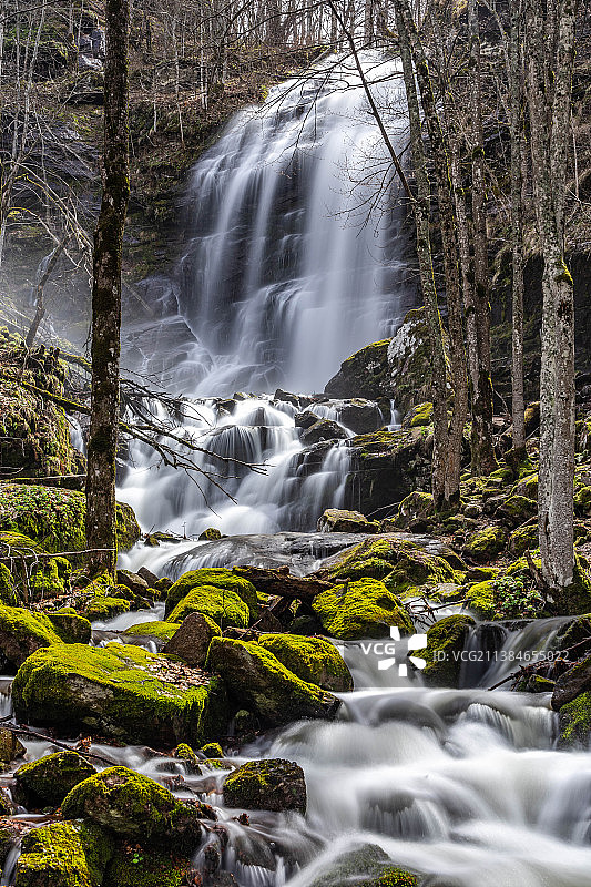 森林中的瀑布风景图片素材