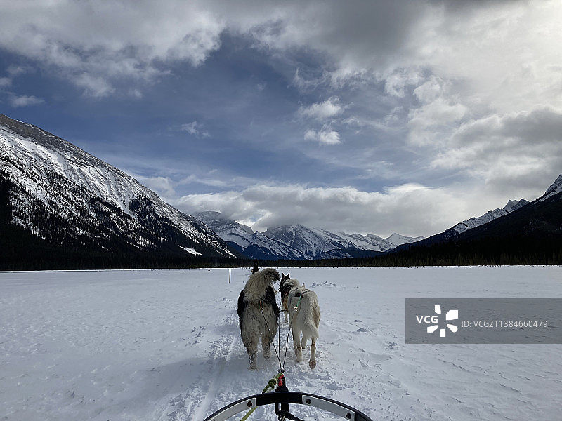 冬季雪山景色：加拿大艾伯塔省卡纳纳斯基斯山区人物图片素材