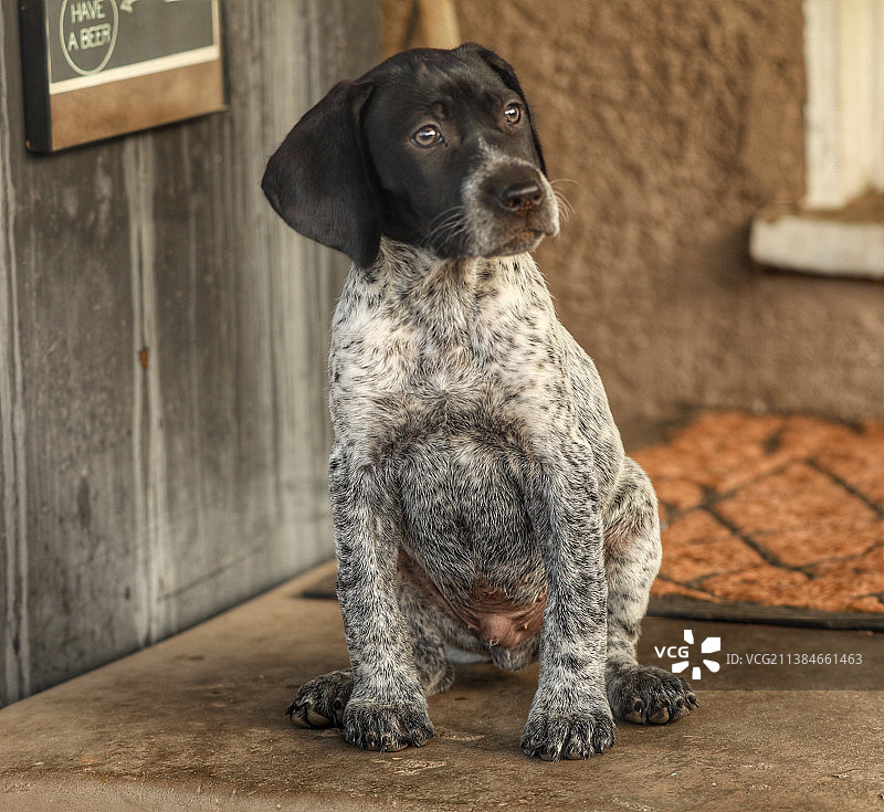 准备进入室内，地板上的指示牌特写图片素材