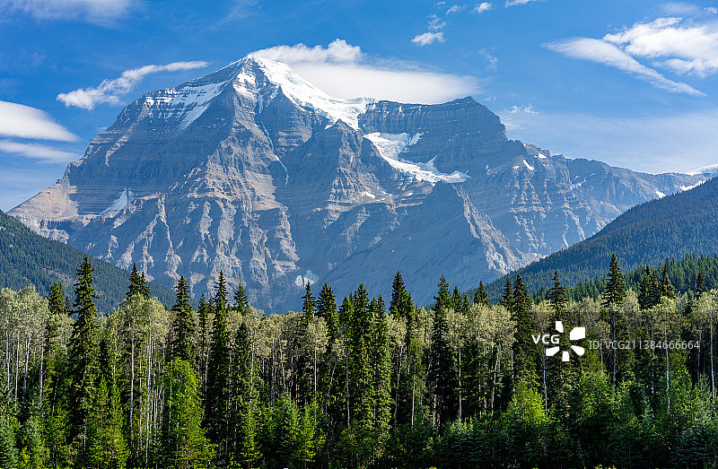 罗布森山，不列颠哥伦比亚省松树和山脉的风景，加拿大图片素材