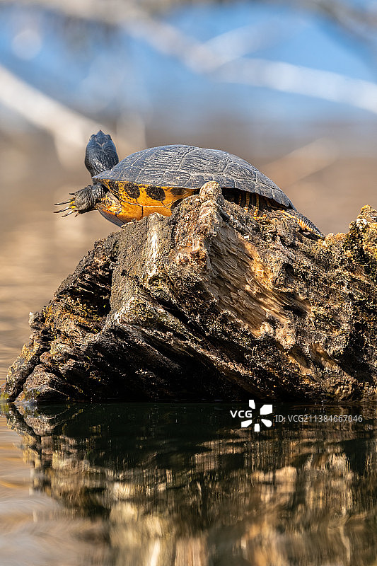 湖中岩石特写镜头图片素材