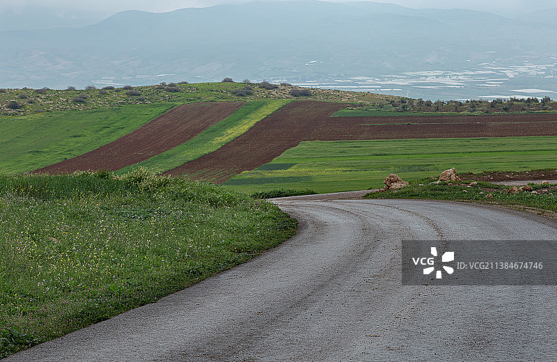 约旦伊尔比德农业田野的春季风光图片素材