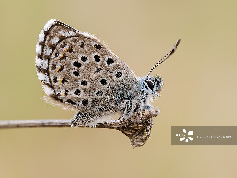 本季首场大风图片素材