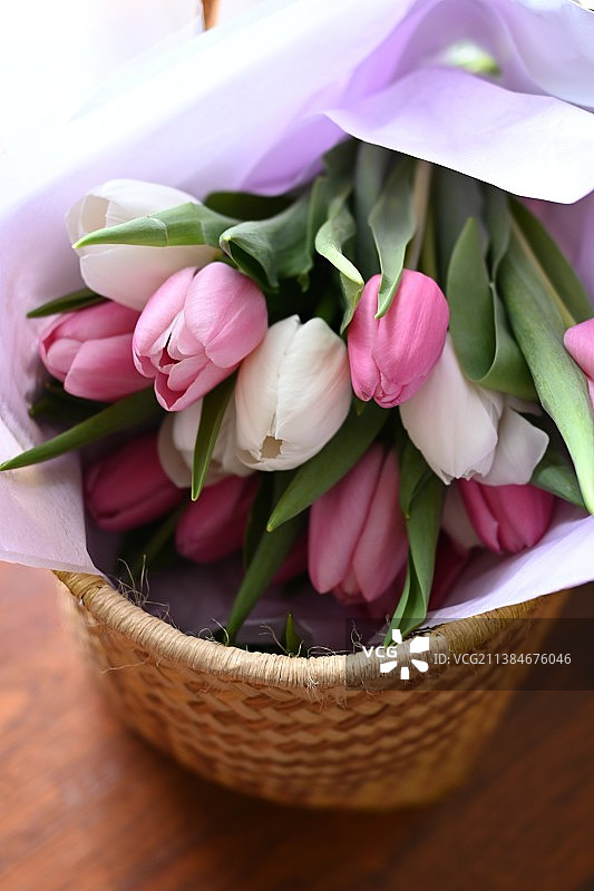 郁金香花束图片素材