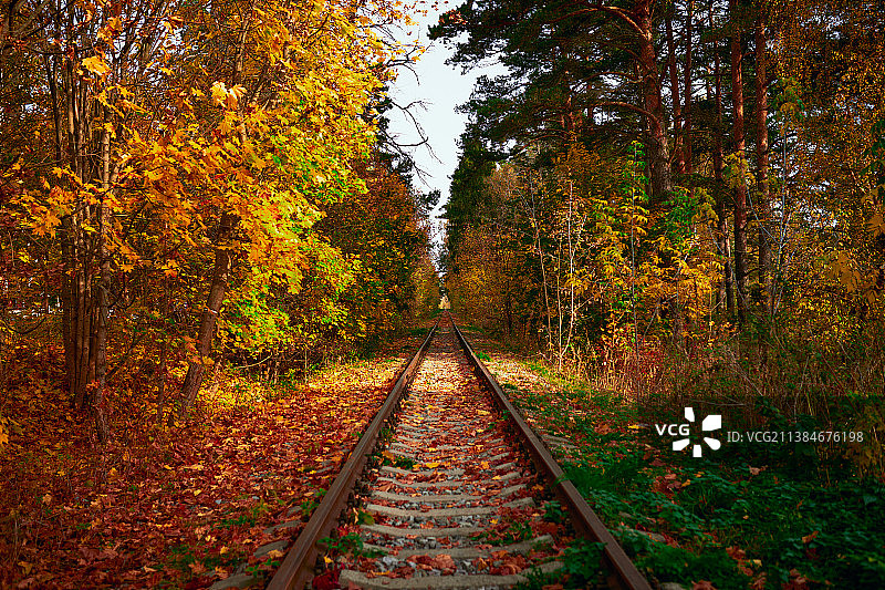 秋季铁路：俄罗斯的空旷铁路轨道图片素材