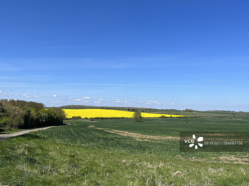 英国皮尔顿的田野风光图片素材