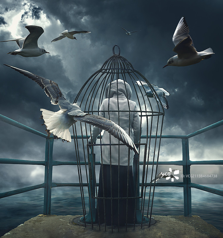 囚犯，低角度看海鸥飞向天空，斯洛伐克图片素材