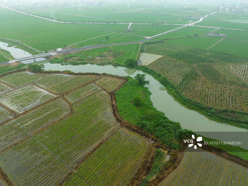 农业，春耕，水田图片素材
