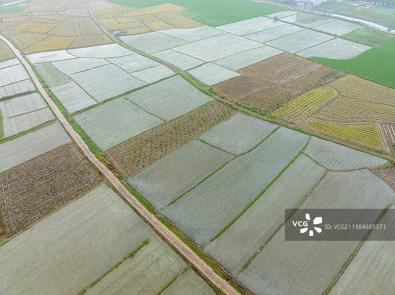农业，春耕，水田图片素材