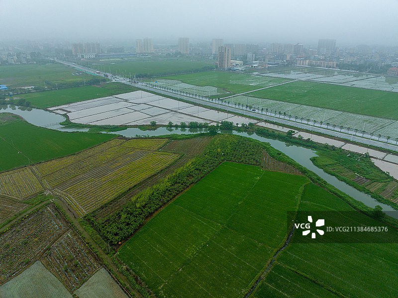 农业，春耕，水田图片素材