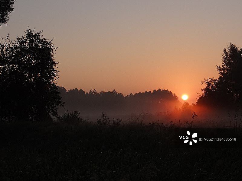 日落时田野上树木的剪影图片素材