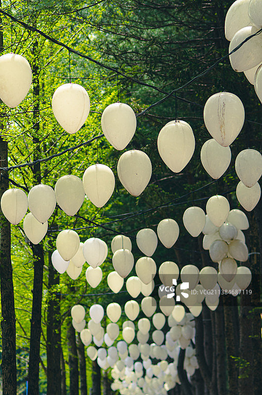 气球装饰，悬挂在树上的氦气球，韩国首尔图片素材