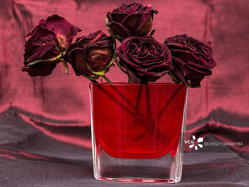 桌子上枯萎玫瑰的特写图片素材