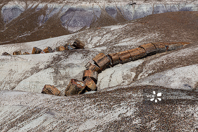 美国亚利桑那州石化林国家公园大地鸟瞰图片素材