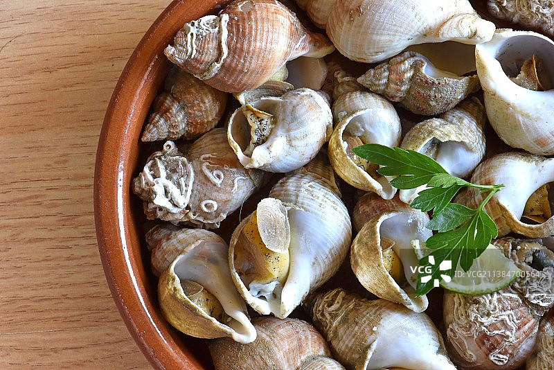 碗里的海螺贻贝图片素材