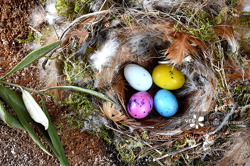 复活节橄榄枝彩蛋素材图片素材