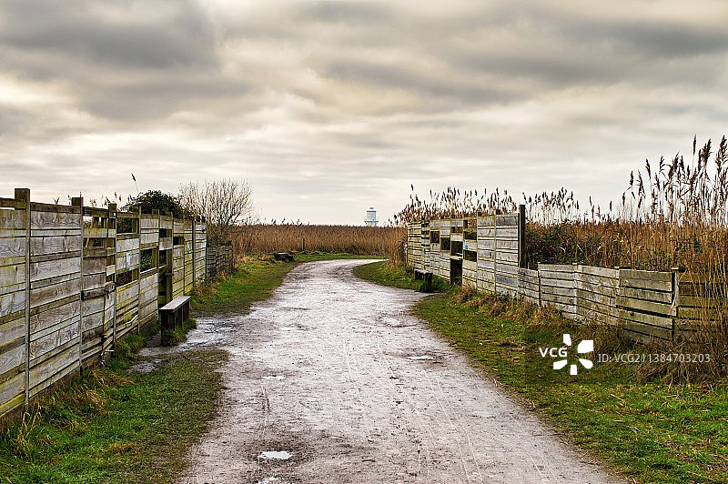 英国纽波特湿地保护区沿乡村景观的道路图片素材