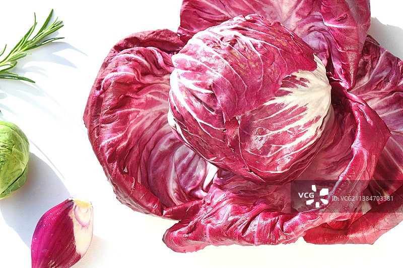 特雷维索意大利菊苣图片素材