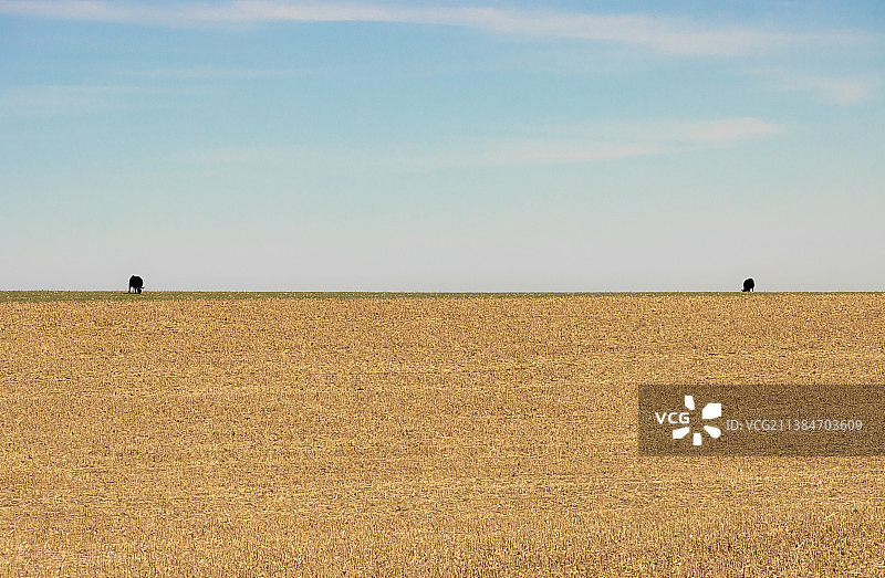 美国内布拉斯加州艾伦的农田景色图片素材