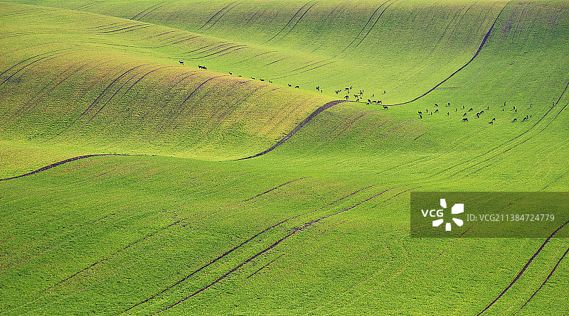 捷克共和国的农田全景图片素材