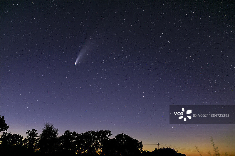 夜空下树木剪影与彗星的低角度景观图片素材