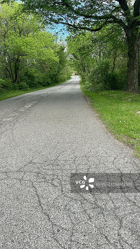 穿过树林小路，孤独的道路图片素材