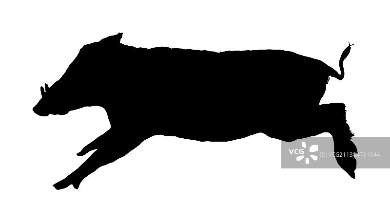 疣猪轮廓剪影图片素材