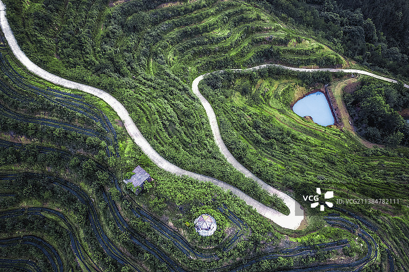 自然的领带图片素材