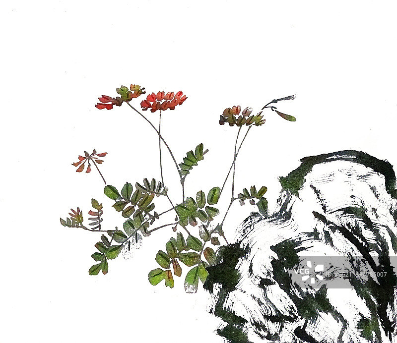 石头旁的野花图片素材