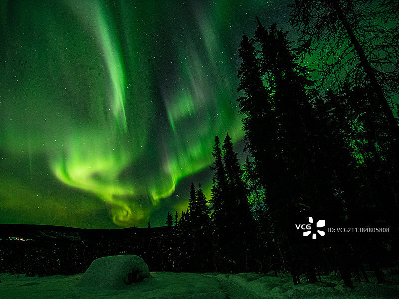 夜空下阿拉斯加费尔班克斯的壮丽极光图片素材
