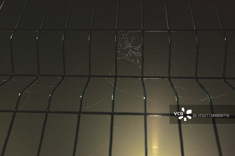 铁丝网的蜘蛛网，全画幅图片素材