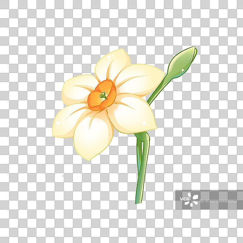 花卉系列——水仙花，卡通手绘素材图片素材
