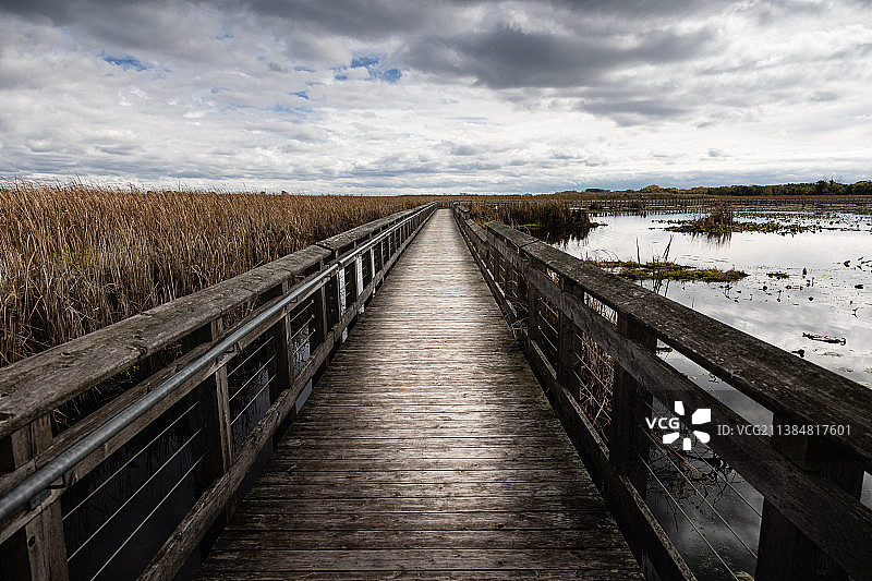 加拿大皮利角国家公园的空木板路图片素材