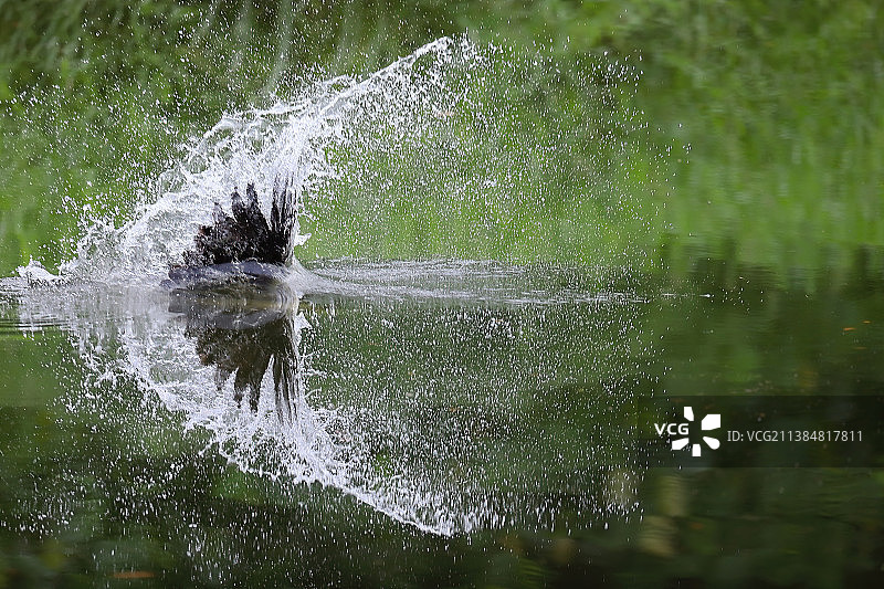 湖中水花飞溅的特写图片素材