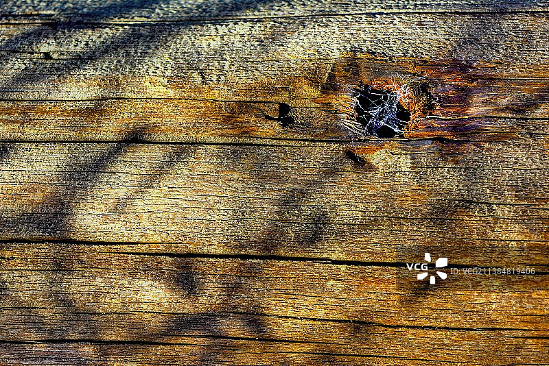 木头，格鲁吉亚库达多夫森林风化木材的完整画面图片素材