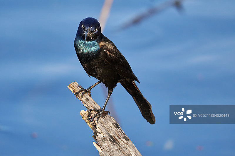 你完成拍摄了吗？美国图片素材