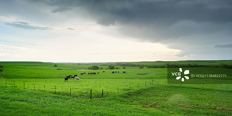 美国堪萨斯州温莎农场风光图片素材