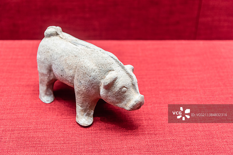 中国东汉陶猪图片素材