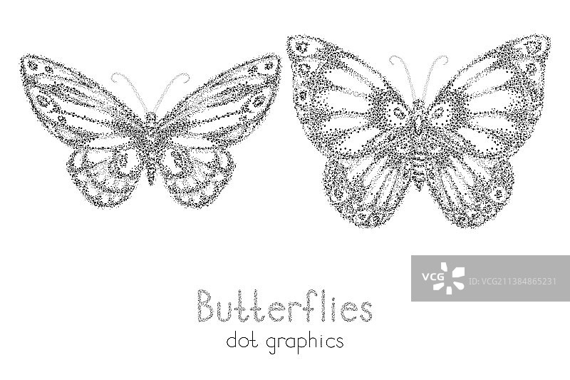 蝴蝶点状图案图片素材
