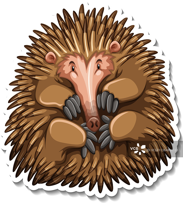 白色背景下的针鼹卡通角色图片素材