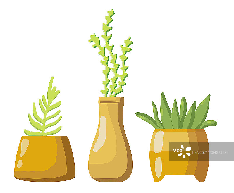 植物花盆合集图片素材