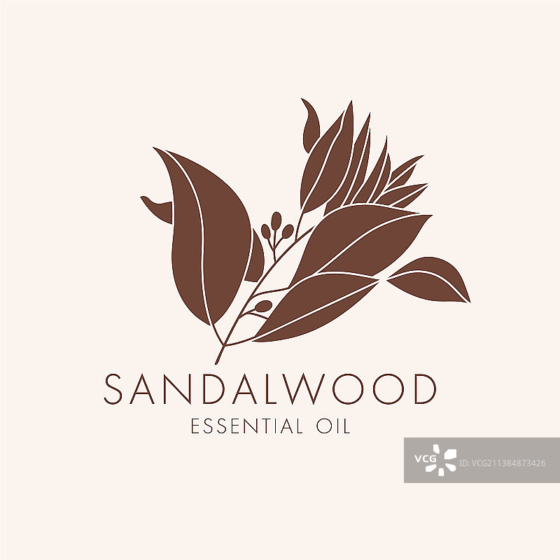 线性植物图标和符号图片素材