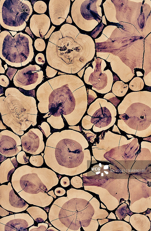 土耳其树桩全画幅镜头图片素材