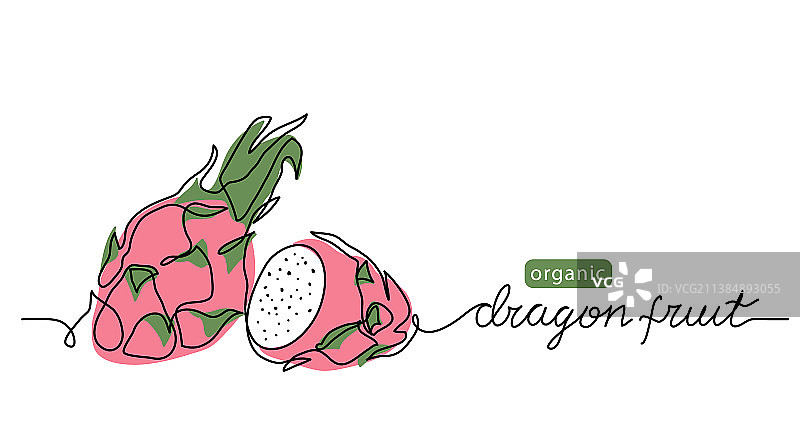 简约彩色火龙果图片素材